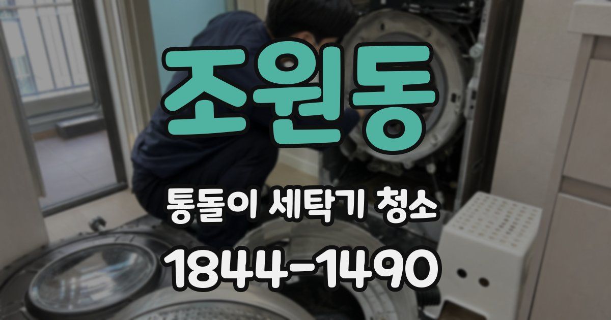 조원동 통돌이 세탁기 청소