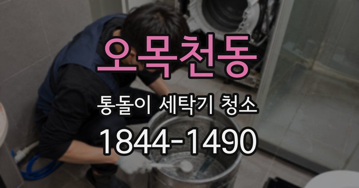 오목천동 통돌이 세탁기 청소