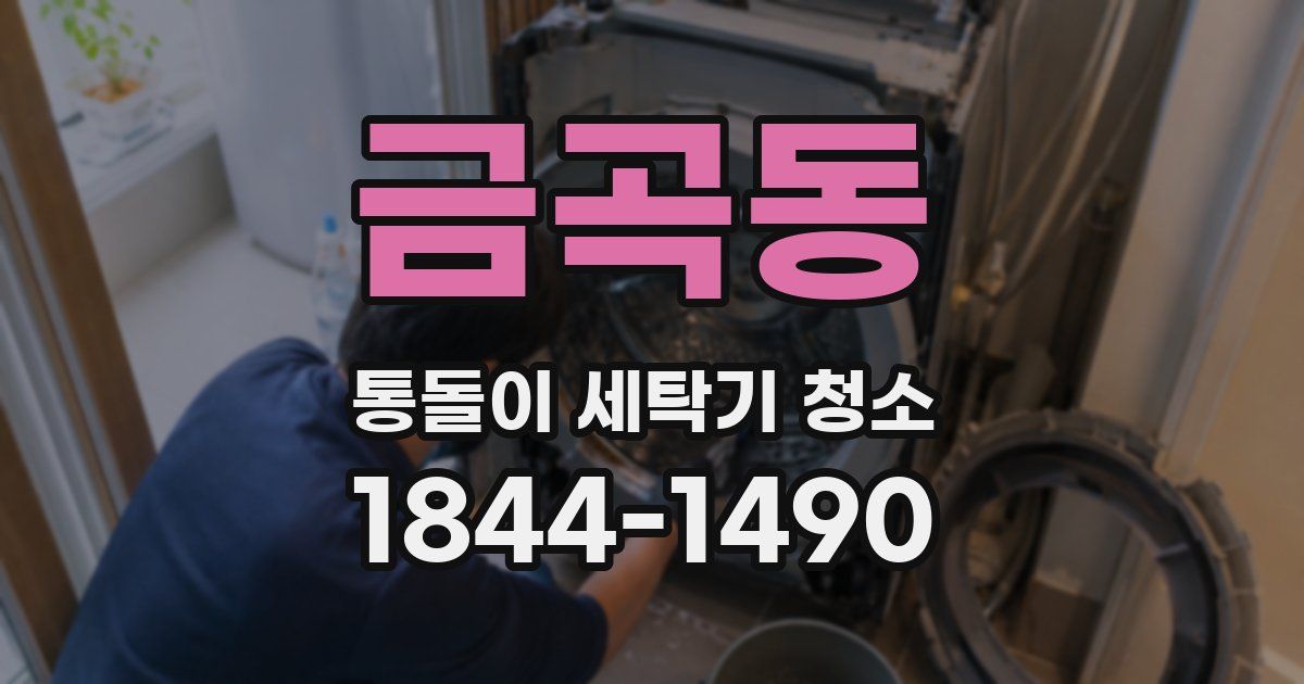 금곡동 통돌이 세탁기 청소