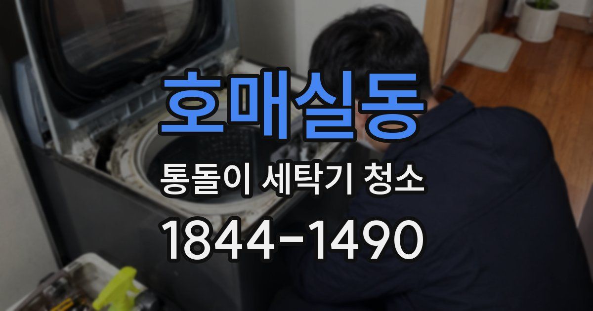 호매실동 통돌이 세탁기 청소