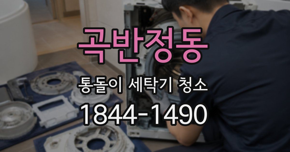 곡반정동 통돌이 세탁기 청소
