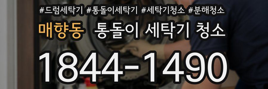 매향동 통돌이 세탁기 청소