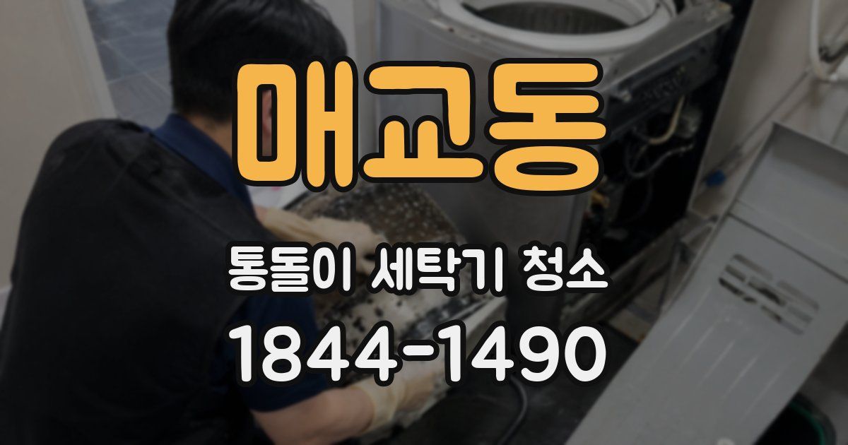 매교동 통돌이 세탁기 청소