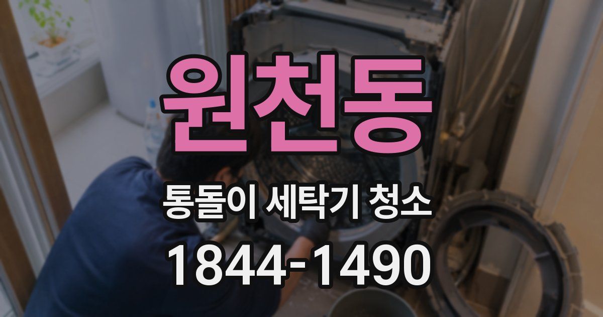 원천동 통돌이 세탁기 청소