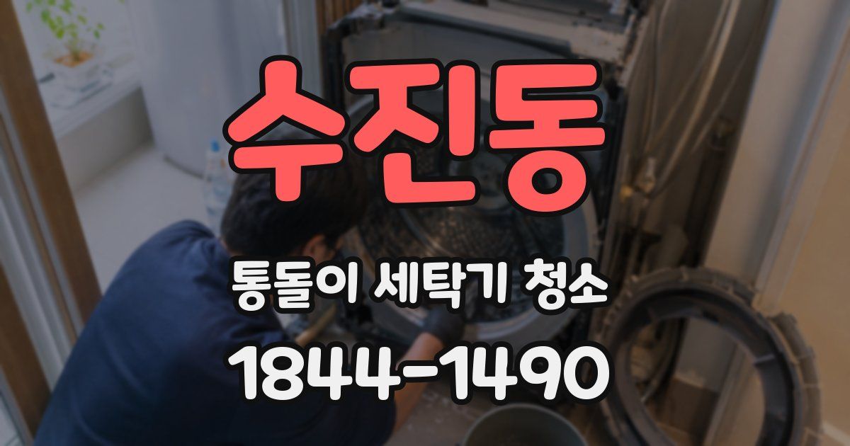 수진동 통돌이 세탁기 청소
