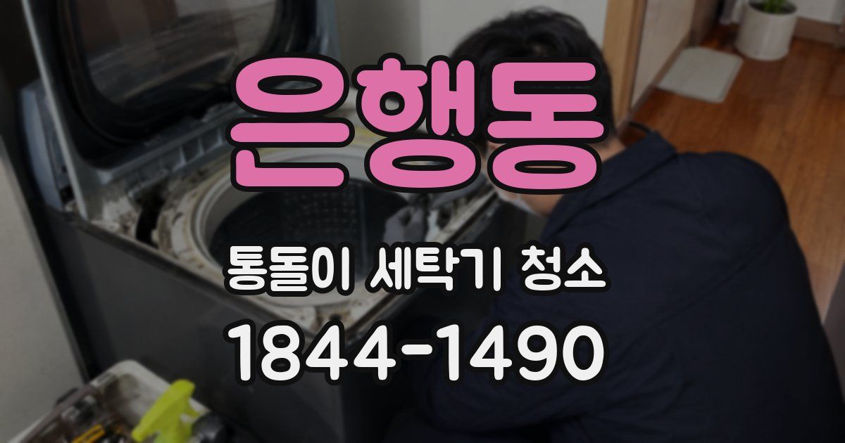 은행동 통돌이 세탁기 청소