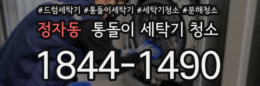 정자동 통돌이 세탁기 청소