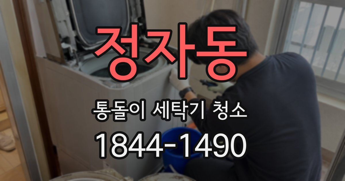 정자동 통돌이 세탁기 청소