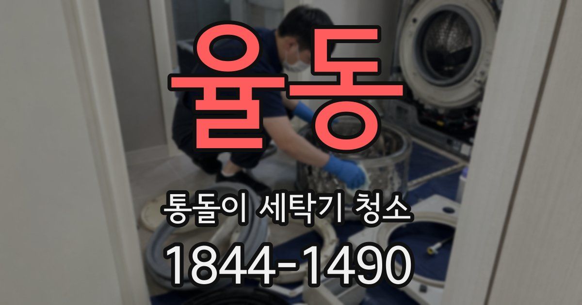 율동 통돌이 세탁기 청소