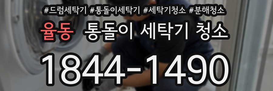 율동 통돌이 세탁기 청소