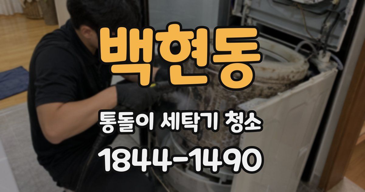 백현동 통돌이 세탁기 청소