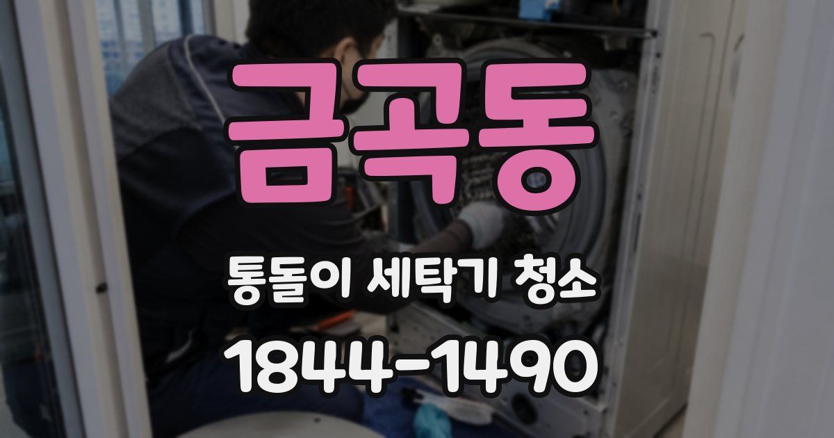 금곡동 통돌이 세탁기 청소