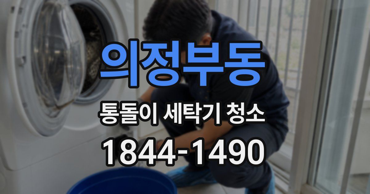 의정부동 통돌이 세탁기 청소