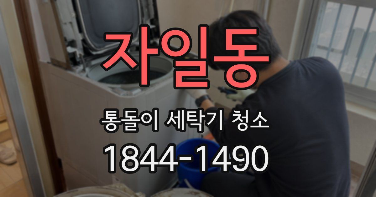 자일동 통돌이 세탁기 청소