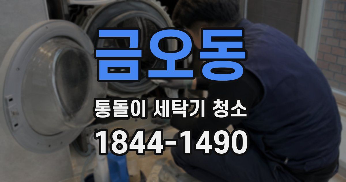 금오동 통돌이 세탁기 청소