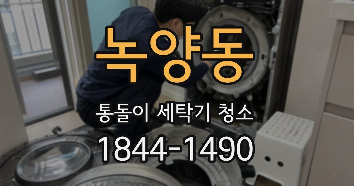 녹양동 통돌이 세탁기 청소