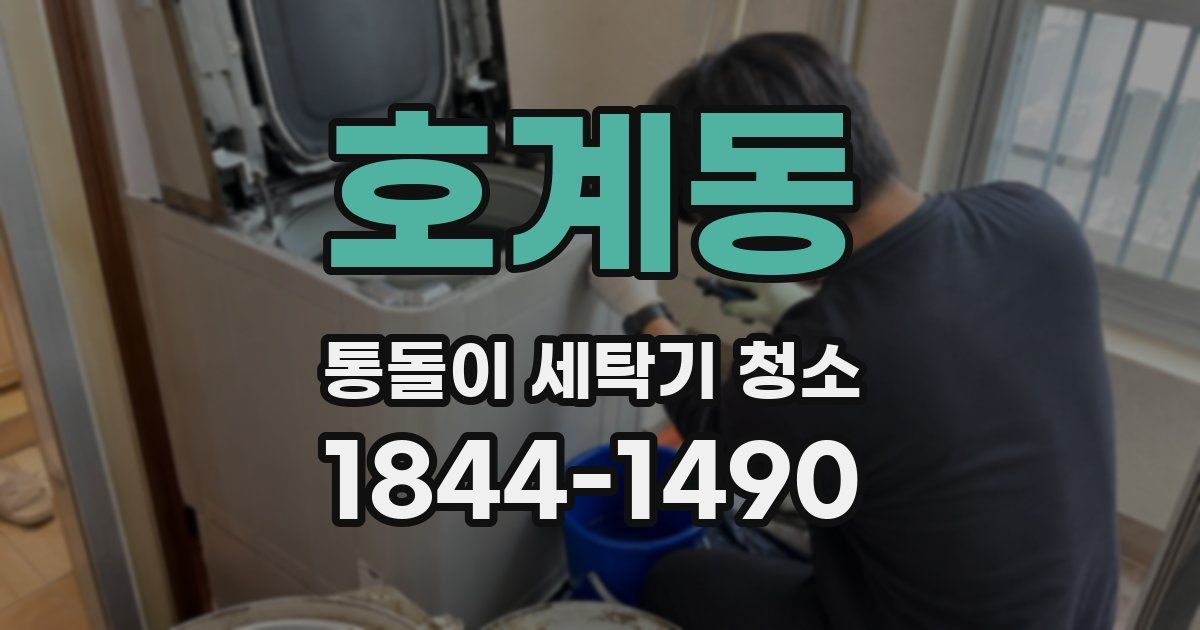 호계동 통돌이 세탁기 청소
