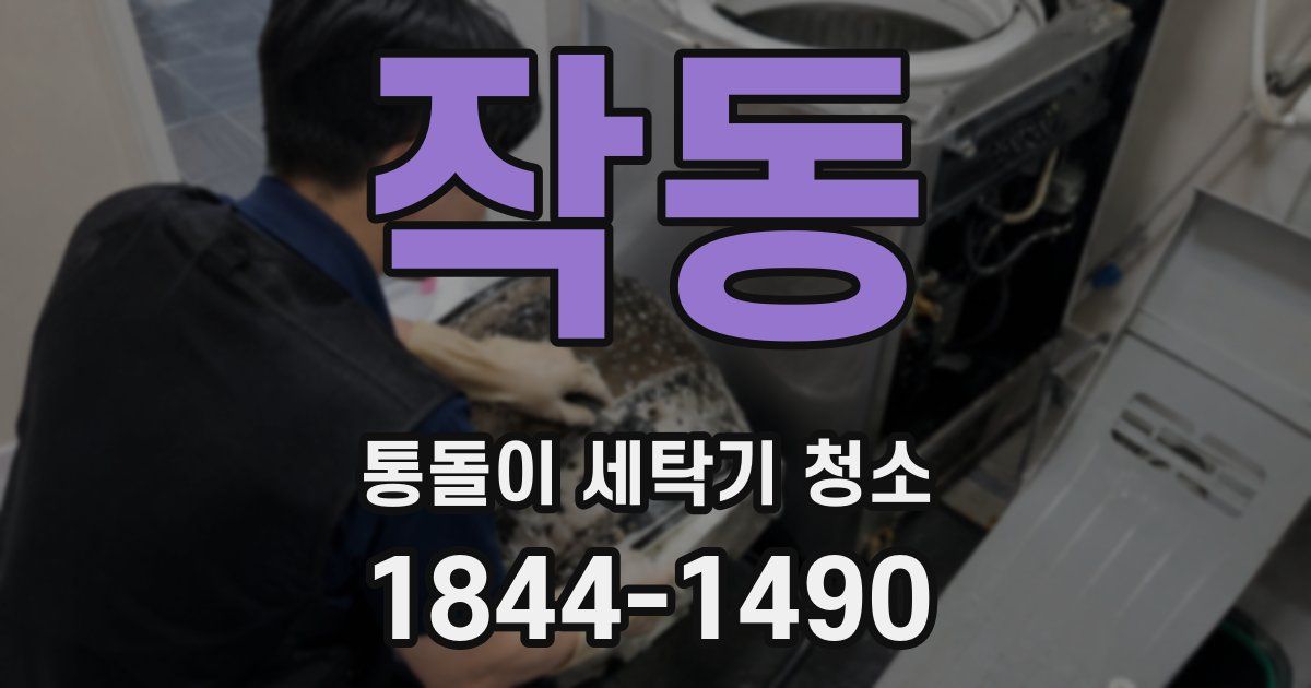 작동 통돌이 세탁기 청소