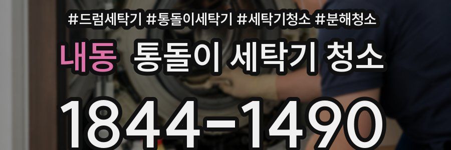 내동 통돌이 세탁기 청소
