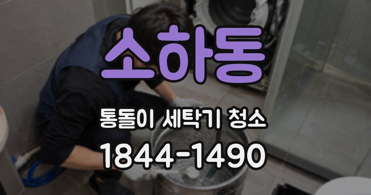 소하동 통돌이 세탁기 청소