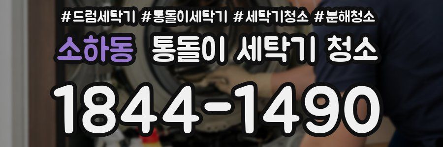소하동 통돌이 세탁기 청소