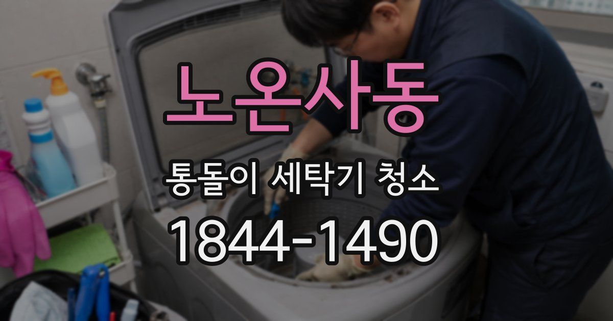 노온사동 통돌이 세탁기 청소