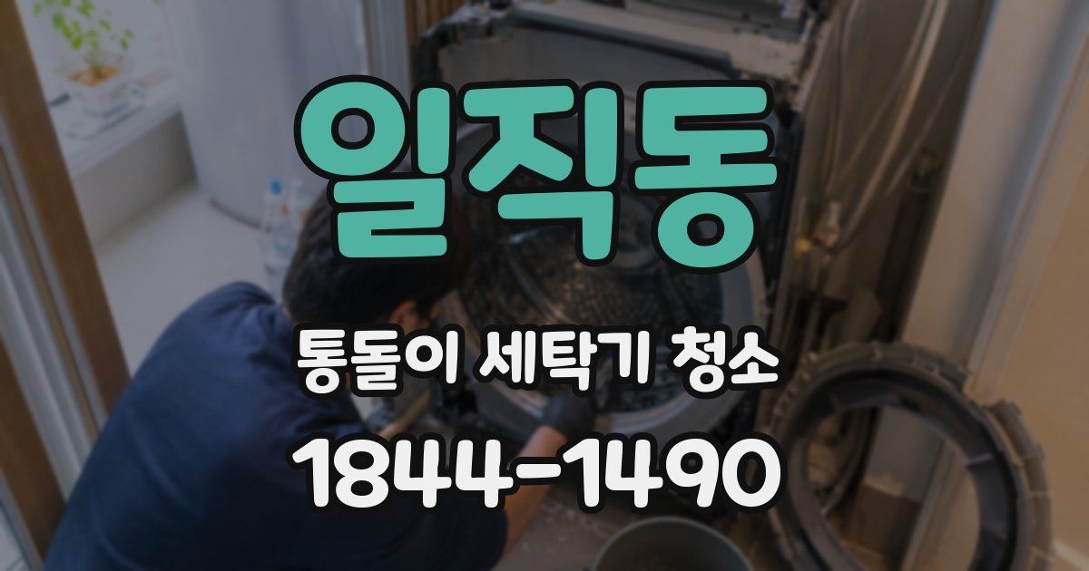 일직동 통돌이 세탁기 청소