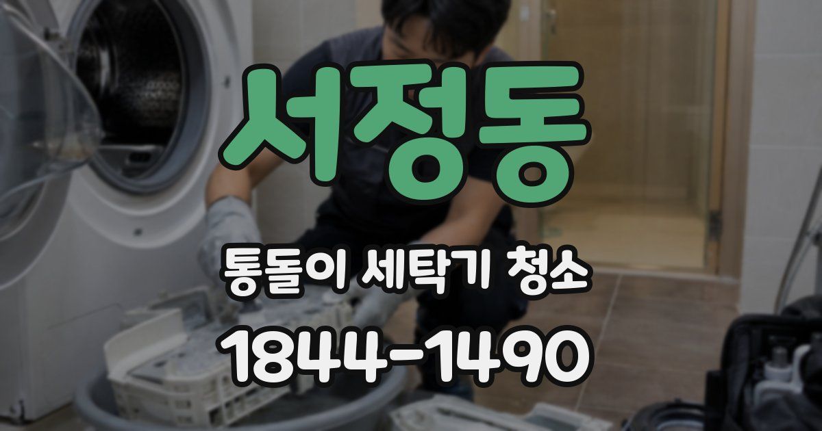 서정동 통돌이 세탁기 청소