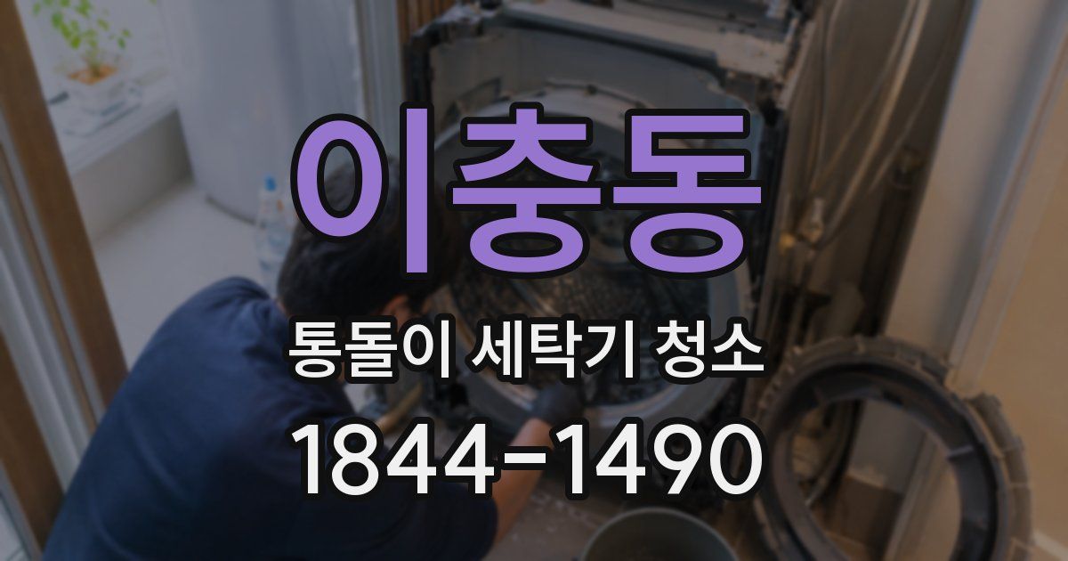 이충동 통돌이 세탁기 청소