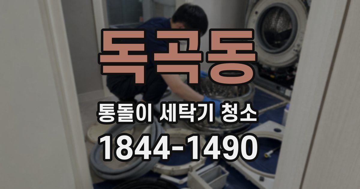 독곡동 통돌이 세탁기 청소