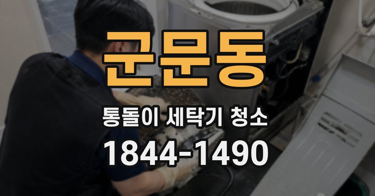 군문동 통돌이 세탁기 청소
