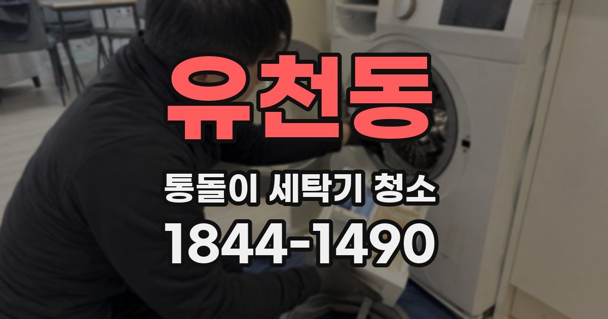 유천동 통돌이 세탁기 청소