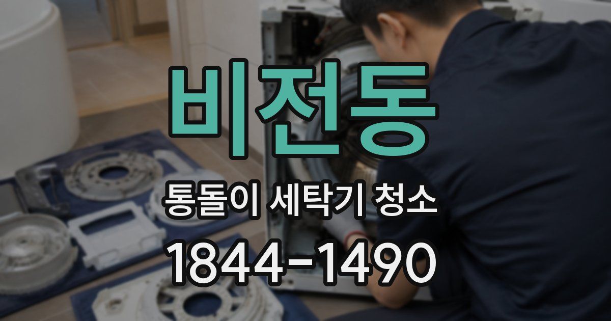 비전동 통돌이 세탁기 청소