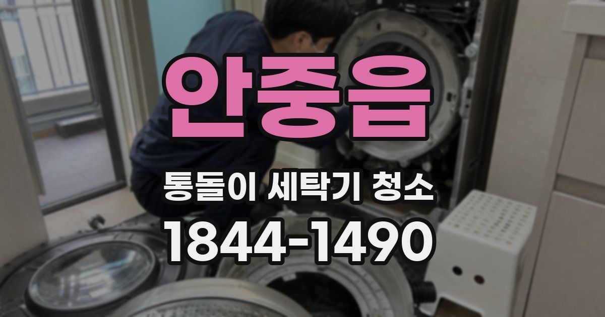 안중읍 통돌이 세탁기 청소