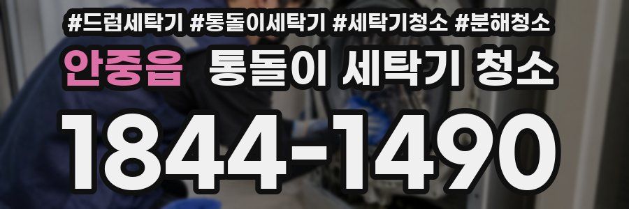 안중읍 통돌이 세탁기 청소