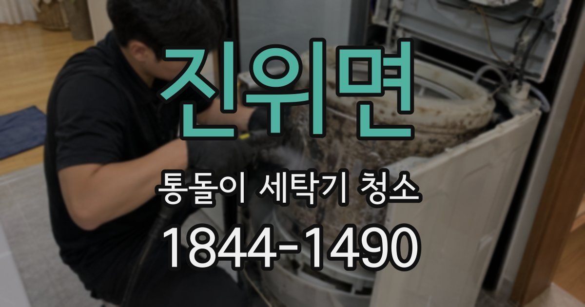진위면 통돌이 세탁기 청소