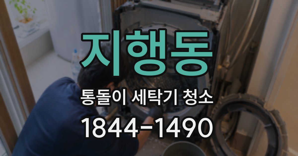 지행동 통돌이 세탁기 청소
