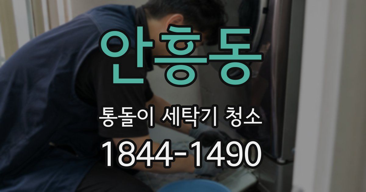 안흥동 통돌이 세탁기 청소