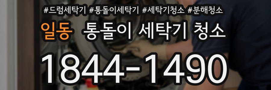 일동 통돌이 세탁기 청소