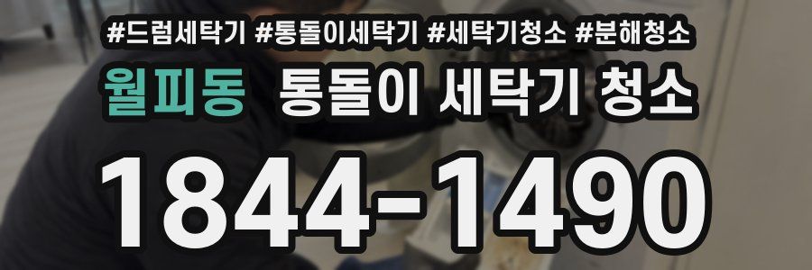 월피동 통돌이 세탁기 청소