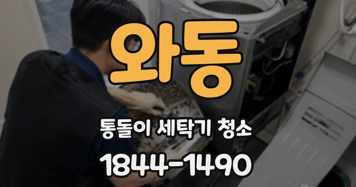 와동 통돌이 세탁기 청소