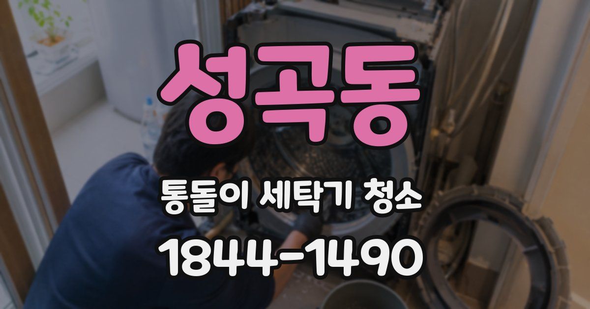 성곡동 통돌이 세탁기 청소