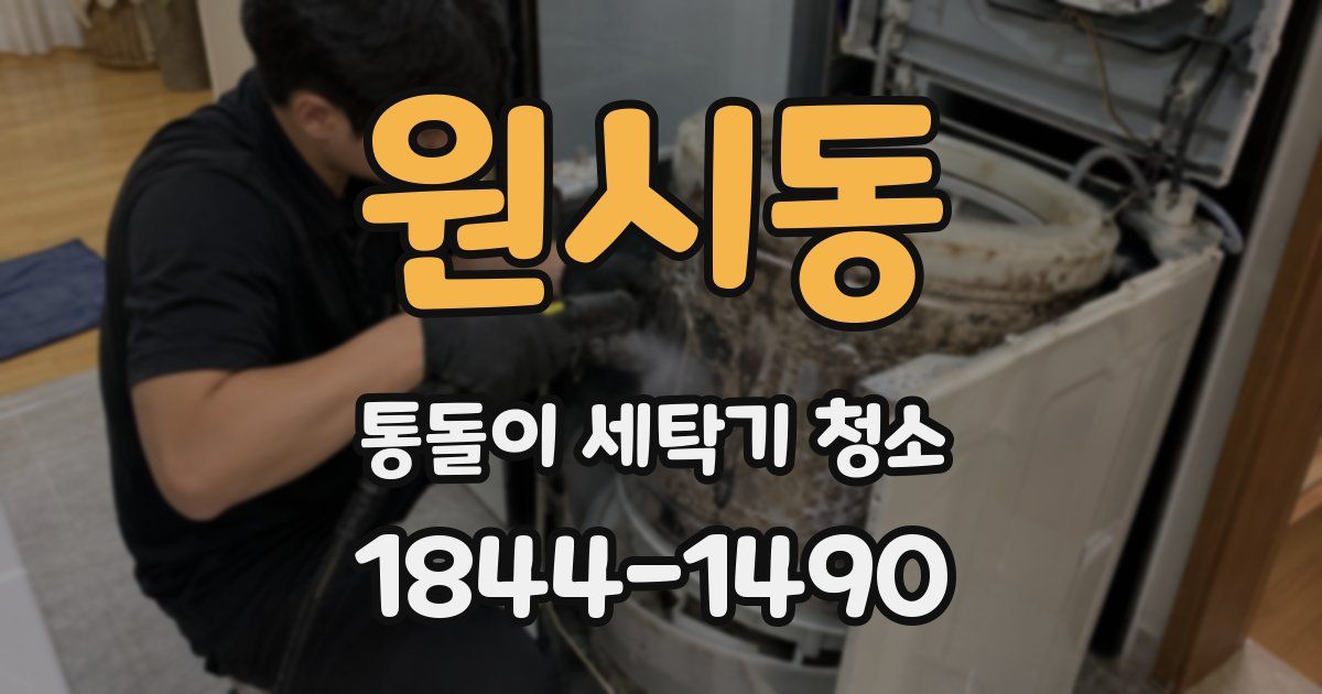 원시동 통돌이 세탁기 청소