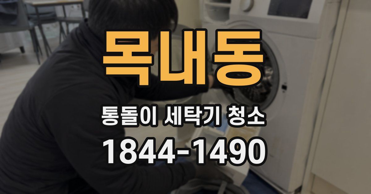 목내동 통돌이 세탁기 청소