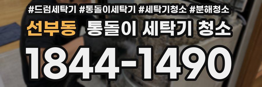 선부동 통돌이 세탁기 청소