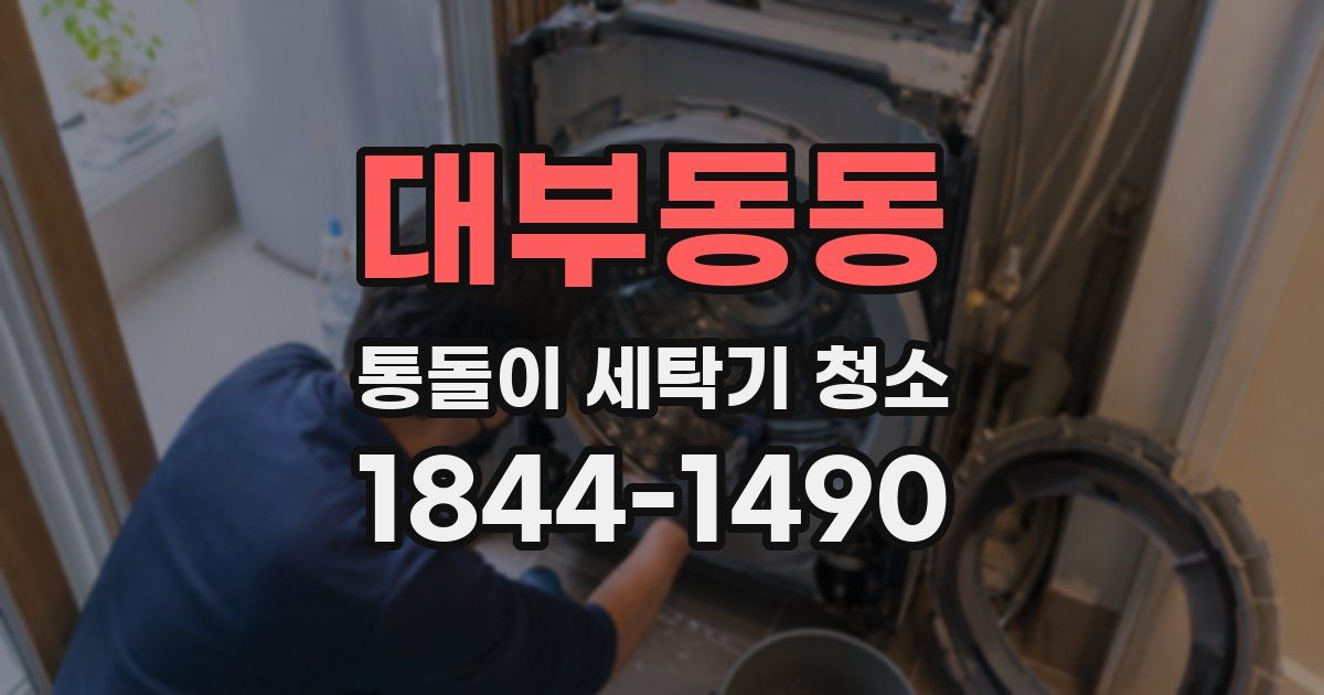 대부동동 통돌이 세탁기 청소
