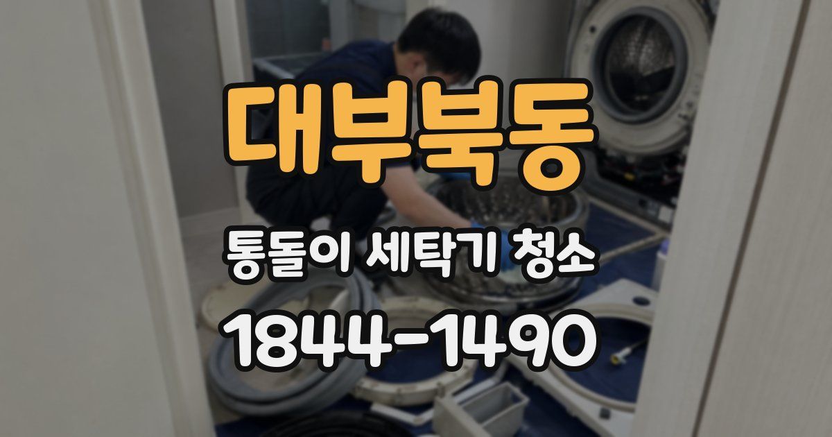 대부북동 통돌이 세탁기 청소