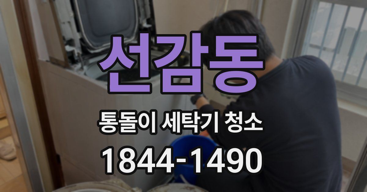 선감동 통돌이 세탁기 청소