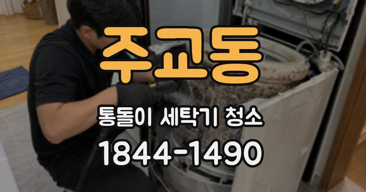 주교동 통돌이 세탁기 청소