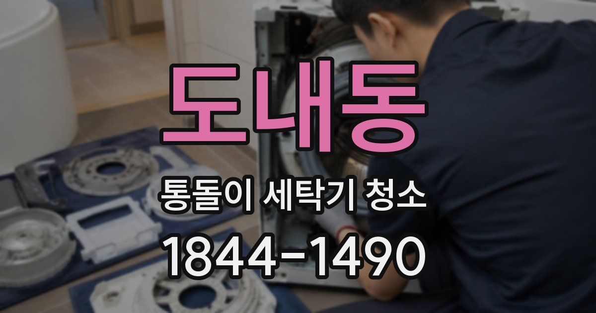 도내동 통돌이 세탁기 청소